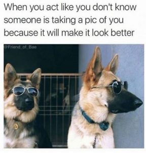 German Shepherd Memes To Cheer You Up (20 Memes) - Doggo Meme